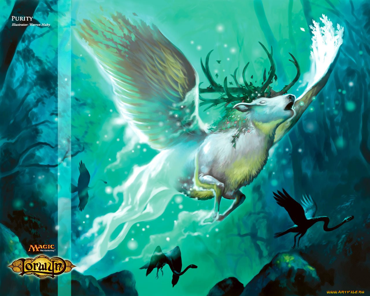, magic, the, gathering